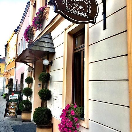 Penzion Bily Beranek Kadaň Exterior foto